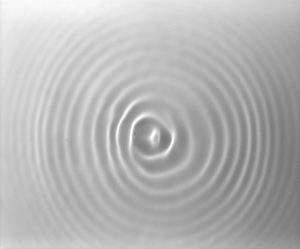 Attila Csörgő, Motion Study (Spiral Wave), 1993, b/w photograph