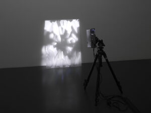 Alexander Gutke, Shattered, AE animation, projection onto glass, ed. of 4 + AP, 2001